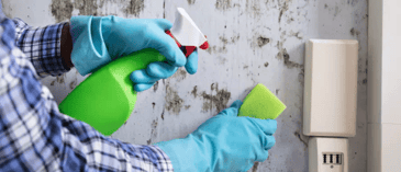 End of Tenancy Cleaning Palmerston North | Visto Cleaning
