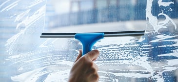 Professional Window Cleaners for Homes in Palmerston North