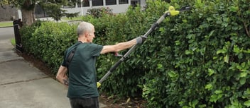 Cleaning Services in Palmerston North | Visto Cleaning