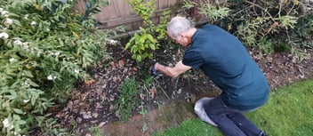 Property Cleaning in Palmerston North | Visto Cleaning