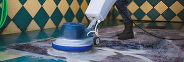 Deep Clean Carpet Services Palmerston North | Visto Cleaning