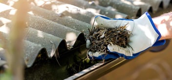 Gutter Cleaning Services Palmerston North | Visto Cleaning