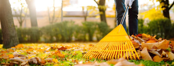 Backyard Cleaning Palmerston North | Visto Cleaning