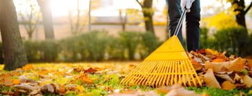 Backyard Cleaning Palmerston North | Visto Cleaning