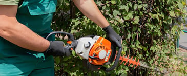 Hedge Trimming Services Palmerston North | Visto Cleaning