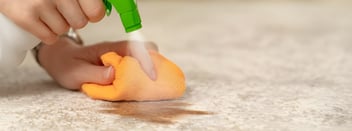 How to Clean Carpet Stains Palmerston North | Visto Cleaning