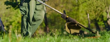 Garden Maintenance Services Palmerston | Visto Cleaning