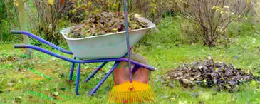 Garden Cleaning Work | Professional Garden Clean Up Services