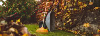 Garden Maintenance Services | Professional Garden Care