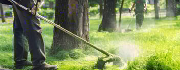 Garden Maintenance Services Palmerston North