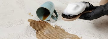 Hard Stains Carpet Cleaner Palmerston | Visto Cleaning
