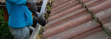Signs Your Gutters Need Cleaning Palmerston North | Visto Cleaning